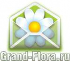 Логотип компании Доставка цветов Гранд Флора (ф-л г.Верхнеуральск)